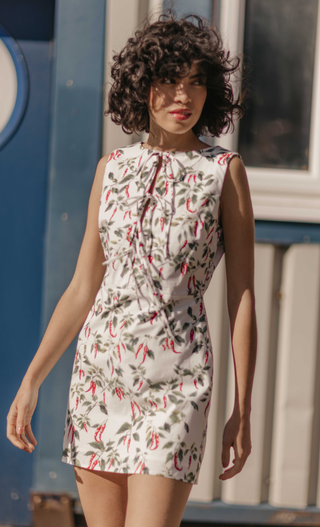 White Chili Print Tie Front Mini Dress