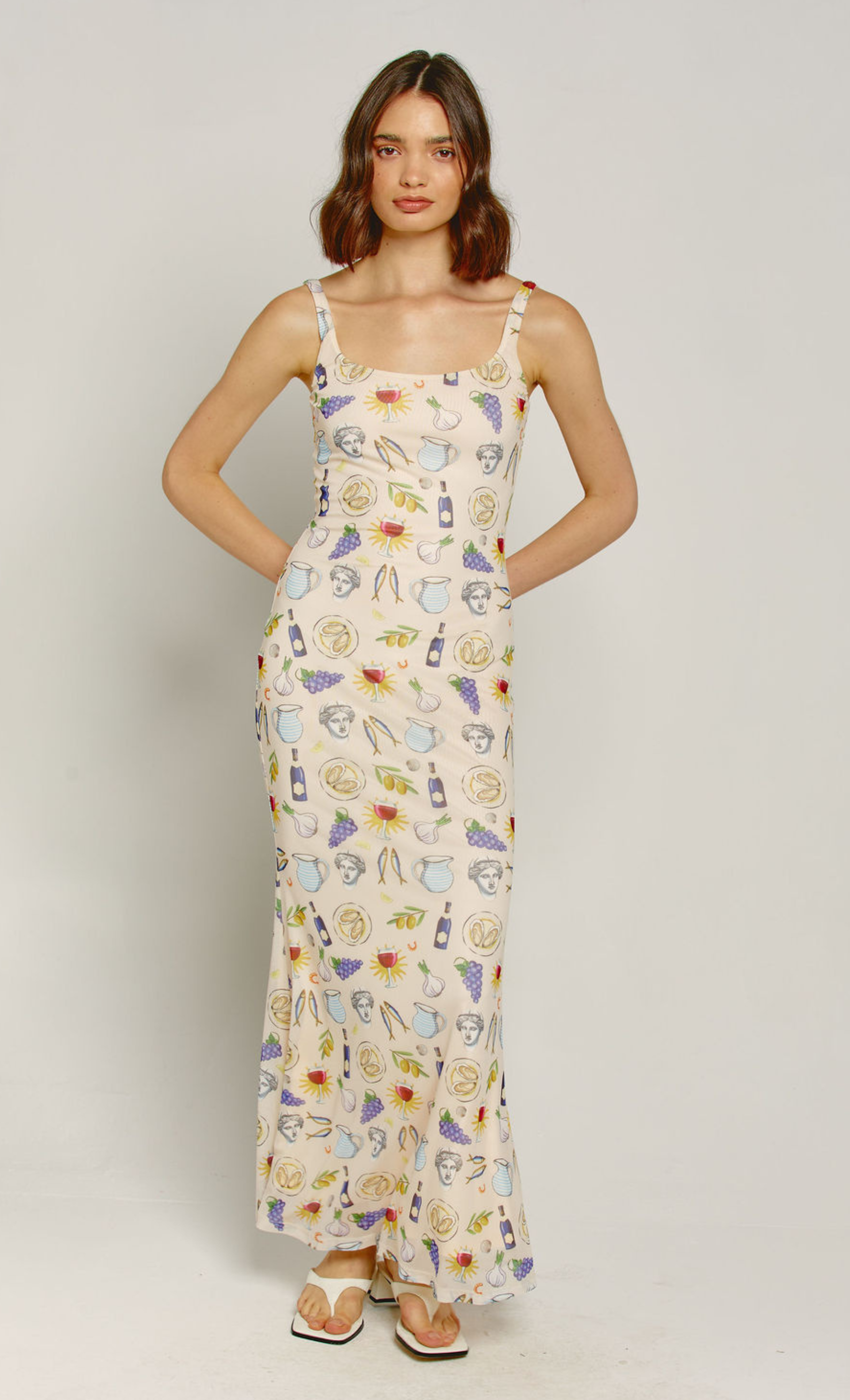 Cream Euro Summer Print Mesh Maxi Dress – Another Girl